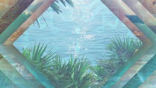 Nature Motions